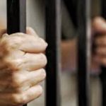 Jail, fine awaits for those who neglect pets during MCO period