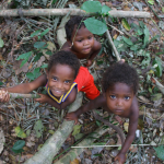 NGO to Maik: Respect Orang Asli people’s belief