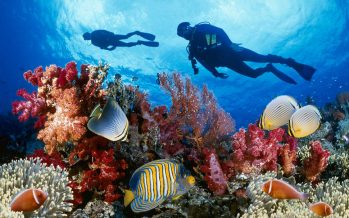 Eight Countries Unite To Save World’s Coral Reefs