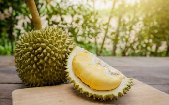 PPIM: Authorities should educate durian middlemen