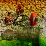 Declare climate emergency, petitioners tell India