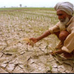 Weak monsoon cripples India’s crops, economy