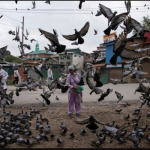 Pakistan asks UN Security Council to meet over Kashmir debacle