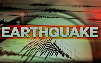 5.1-magnitude quake hits Xinjiang