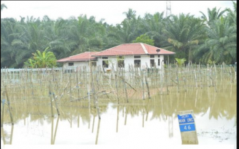 Local authorities told to monitor public infrastructure in flood-prone areas
