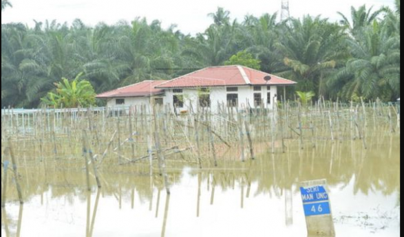 54 victims of flash floods in Johor still at two PPS today