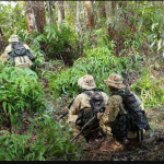 Tiger Platoon: The next step in combating poaching