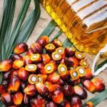 Malaysia’s palm oil stocks fall 4.08% in Nov 2019