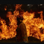 Australia’s NSW declares state of emergency for bushfires