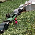 Enforcement in Kuala Terla based on law, MIC orders members to quit state govt