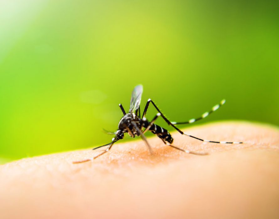 Dengue cases up 13.6% last week: Health DG