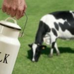 Empowered entrepreneurs can help achieve SSL in fresh milk production