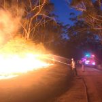 Australia uses bushfires breather to plan for the next onslaught