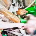 Farmer finds crying baby near banana tree in Sibu