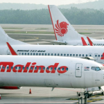 Loke: No decision yet on restriction of flights from China