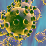 Coronavirus: Thailand confirms 19 cases including one local transmission