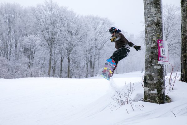 Shred the powder at the famous Nozawa Onsen ski resort.