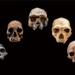 Mysterious ‘ghost population’ of ancient humans discovered