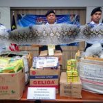 Attempt to smuggle snake, monitor lizard skins foiled