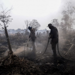 Nearly 50% of fire has been put out in Kuala Langat Forest
