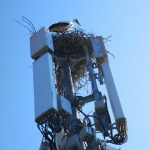 Baseless claims linking 5G to coronavirus