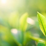 Frost & Sullivan Examines Biostimulants and their Projected Two-fold Growth