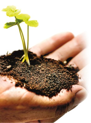Frost & Sullivan - Biosolids Management Frost & Sullivan - Biosolids Management
