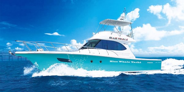 Blue Whale Boat Blue Whale Boat