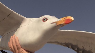 Photo credit: The Drone Bird Company