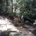 14 nabbed for hiking without permit in Bujang Melaka forest reserve