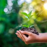Conserve environment, no amount of money can restore it