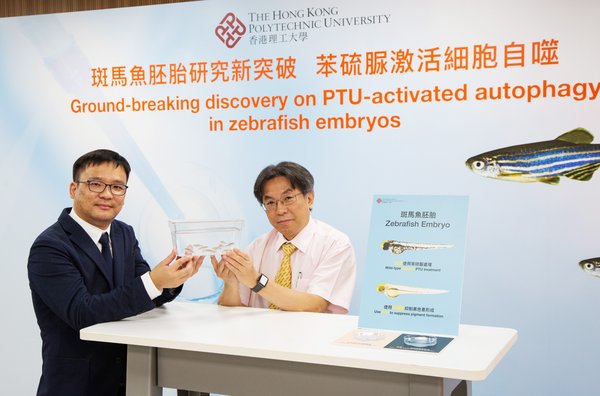 Professor YIP Shea-ping (right), Head of PolyU’s Department of Health Technology and Informatics said that this ground-breaking discovery will be included in the new guidelines on autophagy research this year. Professor YIP Shea-ping (right), Head of PolyU’s Department of Health Technology and Informatics said that this ground-breaking discovery will be included in the new guidelines on autophagy research this year.