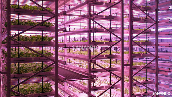 UPLIFT Grow Area
