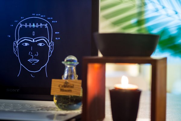 Traditional Chinese Medicine and Technology pioneer TechTCM Traditional Chinese Medicine and Technology pioneer TechTCM