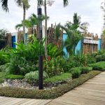 Country Garden Forest City Released the Ecological Development Action Plan to Create a Green and Ecological Future City