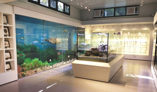 Forest City Eco Museum Phase 1 Exhibition Hall Forest City Eco Museum Phase 1 Exhibition Hall