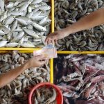Preserved fish popular Kelantanese food during Ramadan