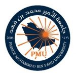 Prince Mohammad Bin Fahd University (PMU) launches a Youth Leadership Program