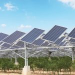 Smart PV: Breathing Life into a Desert Landscape