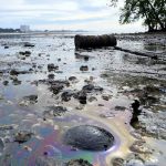 Oil spill: Clean-up works at Pantai Cermin to stop as beach recovers
