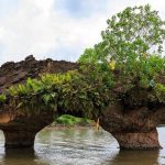 Batu Sapi by-election on Dec 5