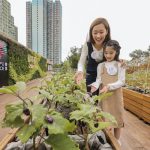 Lok Fu Place Launches the “Herbal Harvest” Campaign: The Only Shopping Centre in Kowloon with an Urban Farm