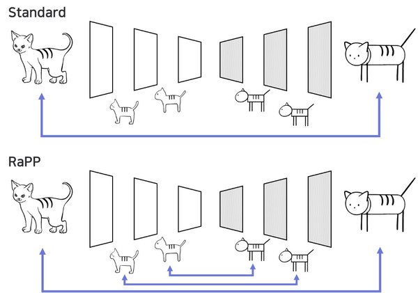 Standard and RaPP method comparison (image 1)