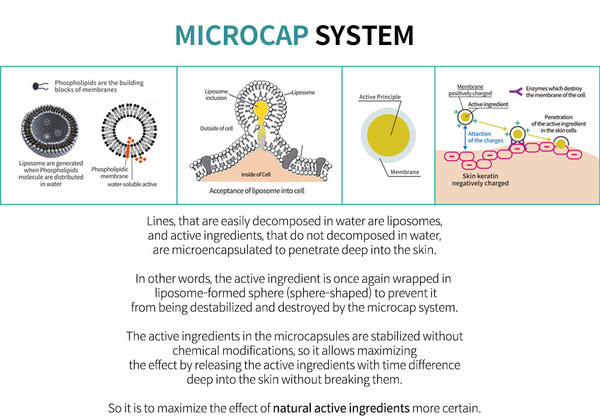 Microcap system formula based on acetyl hexapeptide and lecithin encapsulates active ingredients in a liposome-formed sphere to prevent them from being destabilized Microcap system formula based on acetyl hexapeptide and lecithin encapsulates active ingredients in a liposome-formed sphere to prevent them from being destabilized