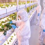 Thailand’s Eastern Economic Corridor to Become Post-COVID Global Food Innovation Hub