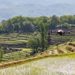 XAG Recognised for Sustainability Innovation in Tackling Rural Ageing at 2020 Reuters Responsible Business Awards