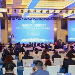 Xinhua Silk Road: China’s solar industry to embrace faster growth amid carbon neutrality goal