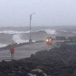 Cyclone Nivar tears down power lines, trees in India; no casualties