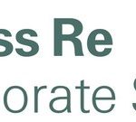 Managing strategic risk for global companies