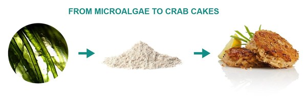 Sophie's Bionutrients award winning crab cakes made with pure high-protein microalgae powder Sophie's Bionutrients award winning crab cakes made with pure high-protein microalgae powder
